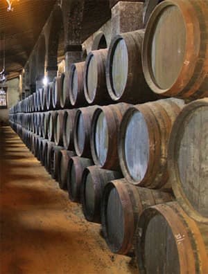 Sherry casks in Sherry Bodega. Cadiz and Jerez day trip