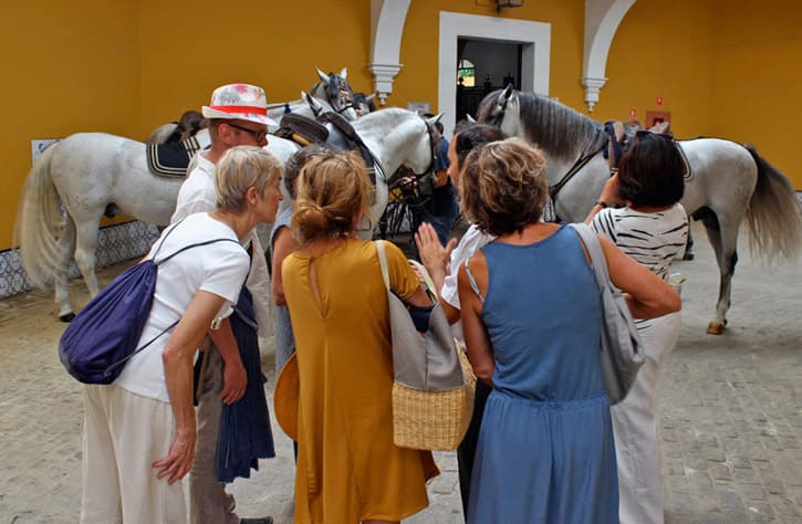 A guide taking his guests behind the scenes in the Royal School of Equestrian Art in Jerez