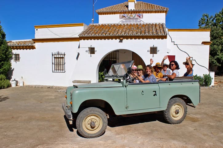 Friends visiting a farm of brave bulls during their trip to Spain