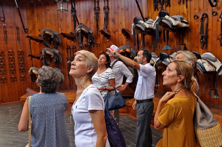 Behind the scenes in the Royal School of Equestrian Art during a Spain trip with friends