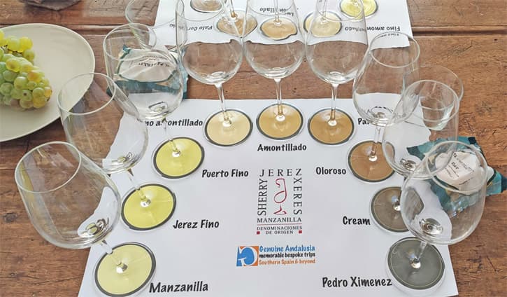 Tasting mat for a wine tasting in a Southern Spanish villa