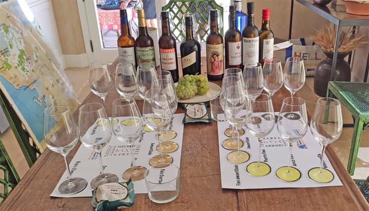 A sherry tasting in a private villa in Southern Spain