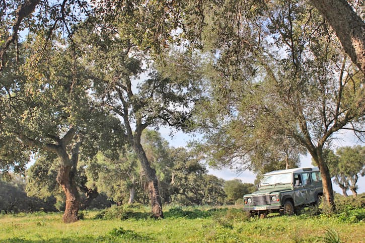 A 4x4 vehicle going off-road in Southern Spain