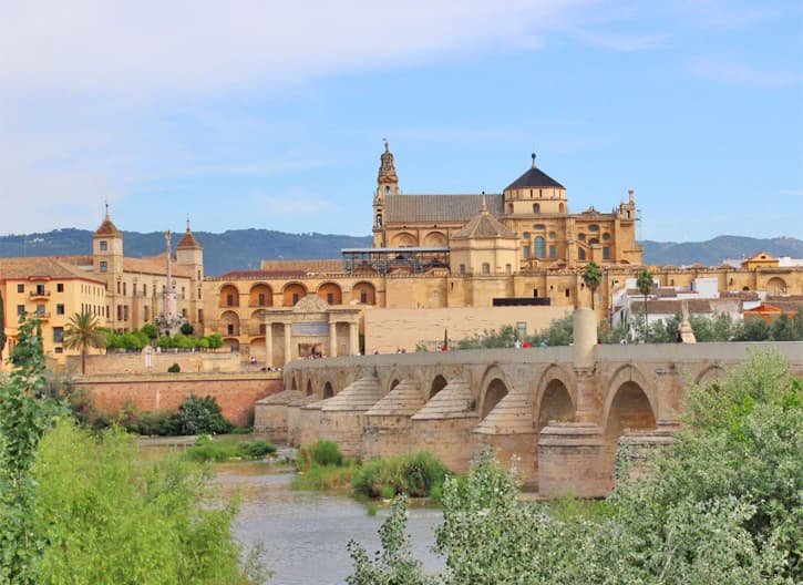 Seville to Cordoba day trip with a private driver or by high speed